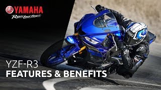 2019 Yamaha R3 Features amp Benefits [upl. by Ettegirb]