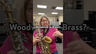 Should it be called a woodwind 🤔 banddirector band woodwind flute brass clarinet trumpet [upl. by Sorips]