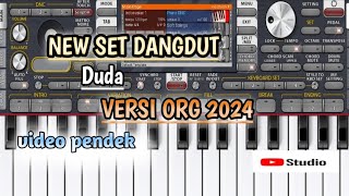 LAGU DANGDUT DUDA VERSI ORG 2024 [upl. by Oinigih514]