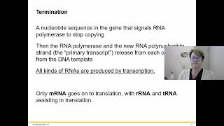 BIOL 1406 Chapter 15 Part 2 [upl. by Akihc]