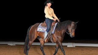 2022 AQHA World Show Champion Western Dressage Level 3 Rachel Ory amp Jagalicious [upl. by Shetrit]