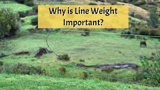 Why is Line Weight Important [upl. by Rabka]