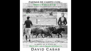 Faenas de campo con David Casas En directo desde Instagram [upl. by Jessi547]