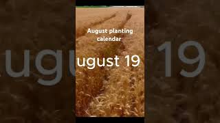 August planting calendar organic Gardening best days to plant above and beyond ground crops [upl. by Aiyt]