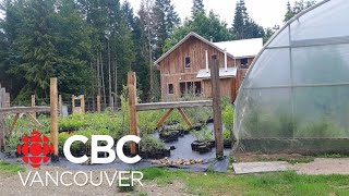 Denman Island BC homesteader says home is about sustainability [upl. by Lindo31]