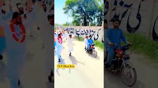 TLP Status TLP Bhai Kot saadrizvi tlp tlpstatus tlpnews tlpbhaikot [upl. by Jared339]