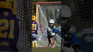 NH Tomahawks 2033 Purple Goal [upl. by Eimmot]