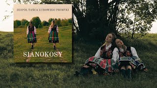 ZTL Promyki  Sianokosy Official Audio [upl. by Oshinski59]