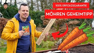 Möhren Aussaat mit 100 Keimgarantie Mein Geheimtipp [upl. by Kcuhc195]