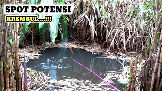 BIKIN GREGET saat pemancing vs ikan sama² ganas amp lapar PR211 [upl. by Mclyman]