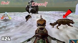 24 Finding dire wolf to tame Ark survival evolved Hindi gameplay arksurvivalevolved [upl. by Leugim]