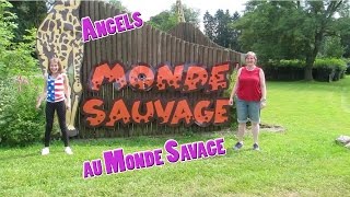 Le Monde Sauvage dAywaille [upl. by Voorhis596]