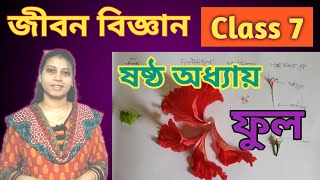 ফুলWBBSELife scienceClass 7chapter 6flowerTeens buddy Arunima [upl. by Euqenimod]