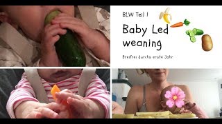 Breifrei  Baby led weaning  Teil 1 [upl. by Lenoel]