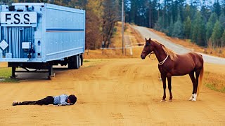 Horse Saw His Owner Fall and Immediately Did This [upl. by Alten]