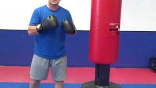 Home Workout Exercises for Men amp Women Over 50 with Boxing 2 [upl. by Ahsinid372]