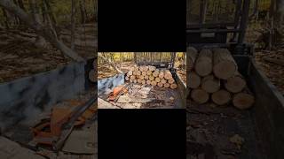 A beautiful October day and Im outside cutting firewood Love itpeaceful forest firewood [upl. by Eenaj604]