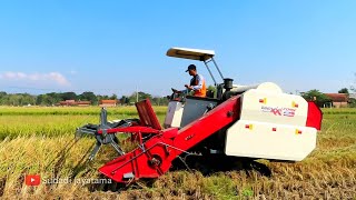 KOMBI SAWAH MAXXI CORN TYPE G MATIC MEMANEN DENGAN SANTAI [upl. by Lalaj]