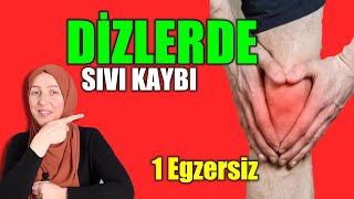 DÄ°Z AÄRISI  DÄ°ZLERDE SIVI KAYBI  DÄ°Z KÄ°REÃ‡LENMESÄ° EVDE FÄ°ZÄ°K TEDAVÄ°  AYNUR BAÅ DÄ°Z EGZERSÄ°ZLERÄ° [upl. by Dewitt]