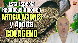 😱 ESTA ESPECIA REDUCE EL DOLOR EN LAS ARTICULACIONES Y APORTA COLAGENO 😱 [upl. by Jaehne]