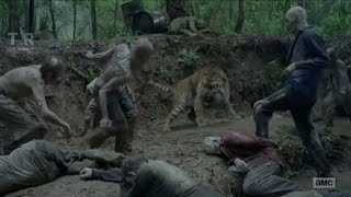 The Walking Dead  Tiger vs Zombies [upl. by Uriel65]