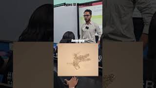 Types of MovementNCERT Biology Class 11Locomotion and Movement NEET Quick Revision with Ankit Sir [upl. by Shermie339]