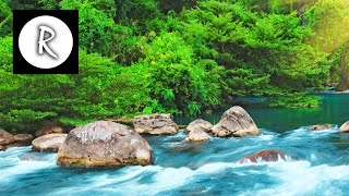 Relaxing Nature Sounds  Water Sound 24 Hours Gentle River amp Stream [upl. by Attolrahc]