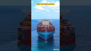 दुनिया की सबसे बड़ी शिप कंटेनर  Largest Container Ship 😨 BiggestShip MegaShip [upl. by Yellah713]