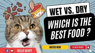 Best Cat Food Wet vs Dry Comparison feline [upl. by Ruffin]