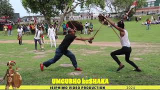 Umgubho kaShaka 2024 UmgangelaAmabuthoamaGoso [upl. by Ardnac]