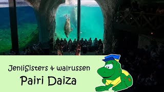 Pairi Daiza Estivales 2023 JenliSisters amp walrussen [upl. by Magnum]