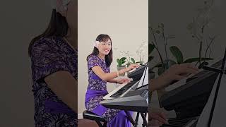 အမေတစ်ခုသားတစ်ခု Cover Song ကီးဘုတ် စုစန္ဒာလှိုင်EmilyUSA [upl. by Nylknarf950]