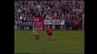 Down v Offaly NFL 199192 St Patricks Pk Newcastle [upl. by Saba]