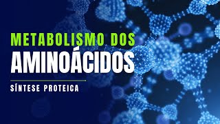 Metabolismo proteico  a síntese de proteínas é essencial para o funcionamento do organismo [upl. by Halilahk930]