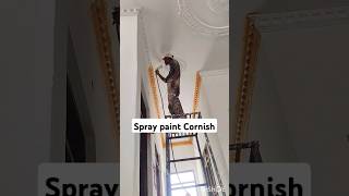 pop cornice spray paint and beautiful finishingwalldesigne art painting popdesing [upl. by Ck]