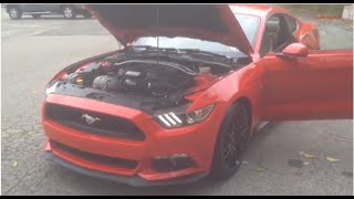 2015 Ford Mustang GT Performance Package Review [upl. by Atener861]