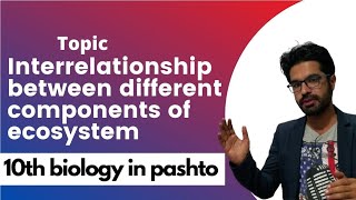 Interrelationship between different components of ecosystem [upl. by Yedok]