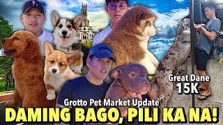 MGA BAGSAK PRESYONG PETS SA GROTTO PET MARKET  SEPTEMBER 01 2024 [upl. by Ociredef]