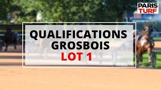 Qualifications Grosbois – Trot attelé – Lot 1 du 10062022 [upl. by Lichter]