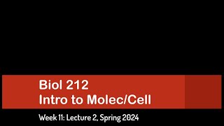 CSULB Spring 2024 Biol 212  Week 11 Lecture 2 [upl. by Vaden]