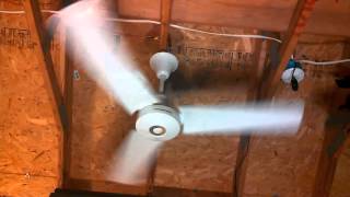 Dayton 4C853 Commercial Ceiling Fan quotRing Fanquot [upl. by Pooley]