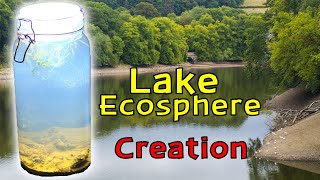 Creating a Lake Ecosphere │ An ECOSYSTEM within a SEALED glass JAR [upl. by Otaner]