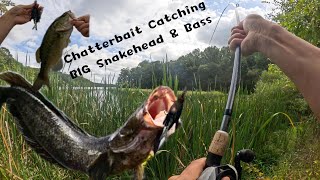 Chatterbait Catching BIG Snakehead amp Bass at Burke Lake [upl. by Noeled]