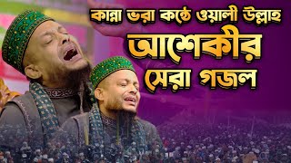 রহমতে আলম নবি নুরে মুজাচ্ছাম  Rohmote Alom Nobi Nure Mujassam  ওয়ালী উল্লাহ আশেকী নাতে রাসুল সঃ [upl. by Ahsinrat]