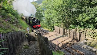 Vale of Rheidol Railway Steam Festival 2024 [upl. by Artekal829]