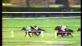 1985 William Hill Scottish National Handicap Chase [upl. by Atla221]