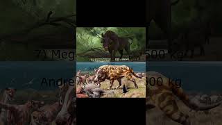 17 biggest prehistoric cenozoic Landpredators prehistoric paleontology prehistoriclife animals [upl. by Plerre]