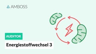 Energiestoffwechsel Teil 3  Wie wird die Glykolyse reguliert  AMBOSS Auditor [upl. by Teiluj127]