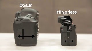 Understanding DSLR vs Mirrorless Cameras [upl. by Atekihc]