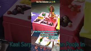 kaalsarpdosh pooja trimbakeshwar contact 7354410688 astrology temple pandit short reels [upl. by Tavis261]